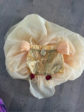 Disney Gold and Peach Sparkle Princess Costume Dress